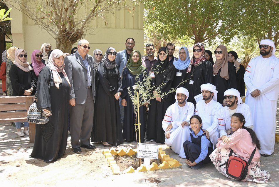زراعة شجرة الغاف في مقر العين