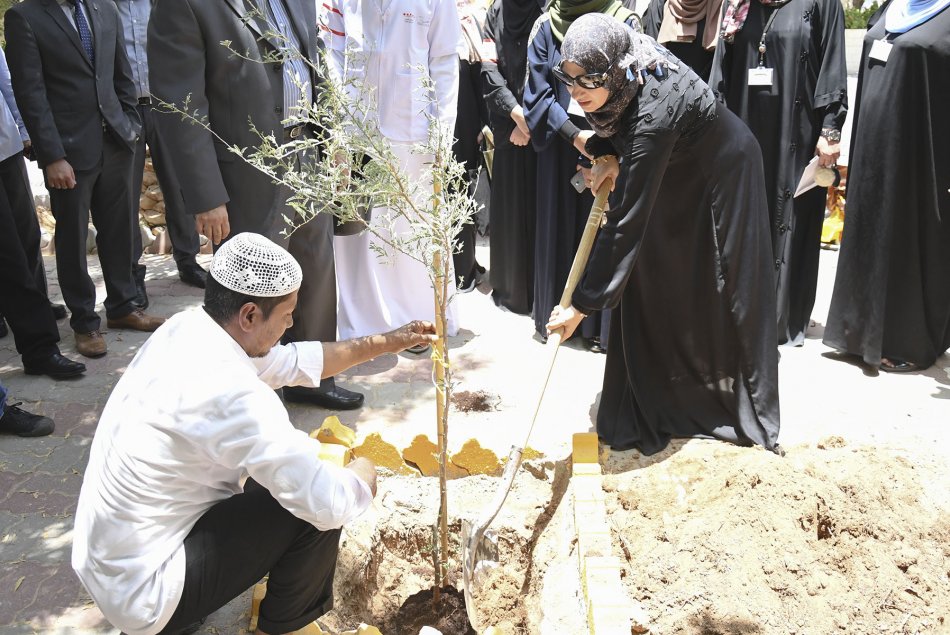 زراعة شجرة الغاف في مقر العين